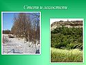 Степи и лесостепи