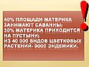 40% площади материка занимают саванны; 30% материка приходится на
