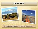 Саванна