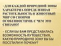 -Для каждой природной зоны характерна определенная растительность и