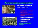 Лесная промышленность
