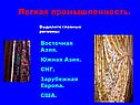 Легкая промышленность