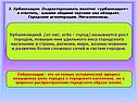 Рост городов