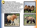 Прежевальский Н. М. собрал богатые зоологические коллекции
