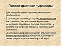 Половозрастные пирамиды