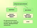 Сельское расселение