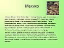 Мехико