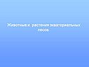 Животные и растения экваториальных лесов