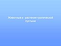 Животные и растения тропической пустыни