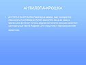 Антилопа-крошка