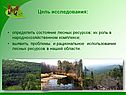 Цель исследования:
