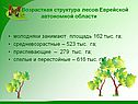Возрастная структура лесов Еврейской автономной области