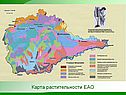 Карта растительности ЕАО