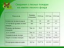 Сведения о лесных пожарах на землях лесного фонда