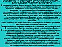 Особенности эволюции органического мира