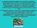 Всевозможные цвета и оттенки