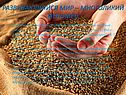 Развивающийся мир – многоликий феномен