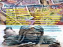 Роль помощи от богатых стран