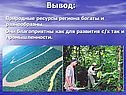 Вывод: