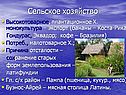 Сельское хозяйство
