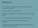 Вопросы: 1. Поэтический образ какого явления природы дан в этом