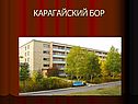 Карагайский бор