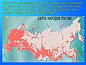 Численность
