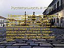 Растительность и грунт