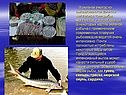 Десятки миллионов тонн рыбы