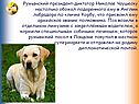 Румынский президент-диктатор Николае Чаушеску настолько обожал