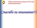 Спасибо за внимание
