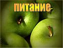 Питание