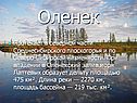 Оленек