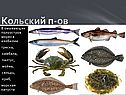 Северные земли России