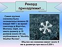 Крупная снежинка
