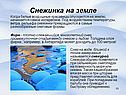 Воздушные красавицы