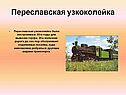 Переславская узкоколейка
