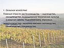 Сельское хозяйство Главные отрасли растениеводства – садоводство,