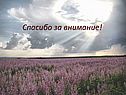 Спасибо за внимание