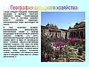 География сельского хозяйства