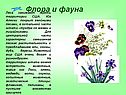 Флора и фауна