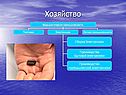 Хозяйство