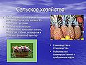 Сельское хозяйство