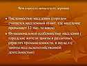 Городские жители