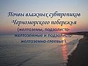 Почвы влажных субтропиков