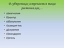 Растения