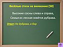 Высокие сосны слева и справа