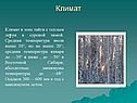 Климат