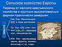 Сельское хозяйство Европы