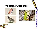 Животный мир степи